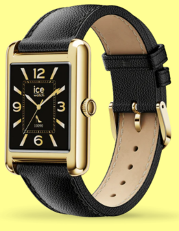 025286 - Ice smart  TK 2.0 