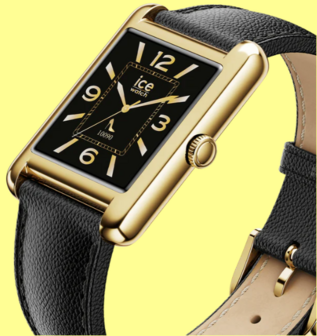 025286 - Ice smart  TK 2.0 