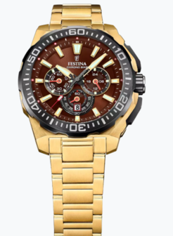 F20727/3 - Festina