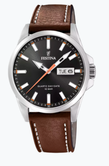 F20358/2 - Festina