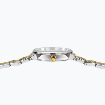 F20792/1 - Festina