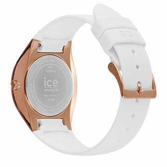 025953 - Ice Bubble
