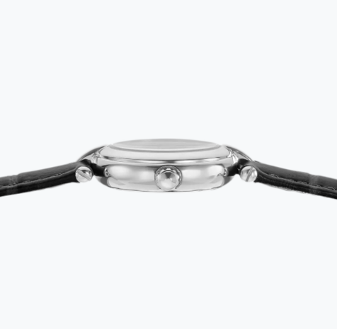 F20787/3 - Festina