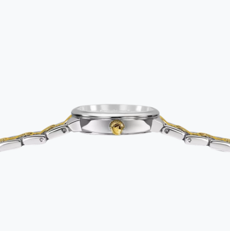 F20792/1 - Festina