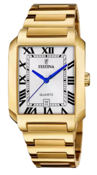 F20678/1 - Festina
