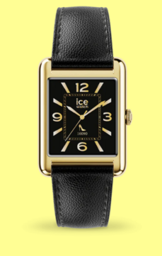 025286 - Ice smart  TK 2.0 