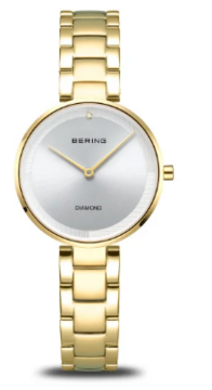 17529-730 Bering