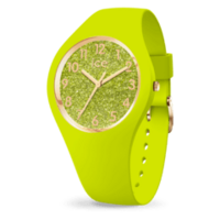 021225 - Ice Watch glitter